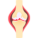 ACL Surgeon